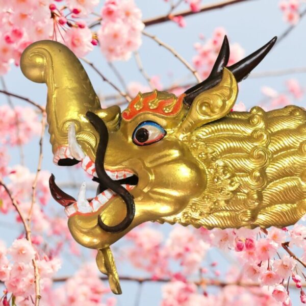 A Dragon Gate Protector’s head